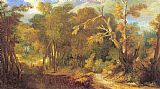 Unknown Wooded Landscape painting